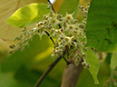 %_tempFileName67-20050303-0174%