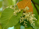 %_tempFileName69-20050312-0512%