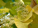 %_tempFileName73-20050312-0535%