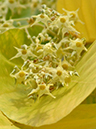 %_tempFileName74-20050312-0538%