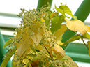 %_tempFileName78-20050312-0584%