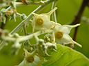 %_tempFileName79-20050312-0627%