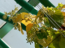 %_tempFileName83-20050313-0211%