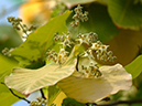%_tempFileName84-20050313-0412%