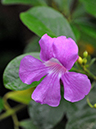 %_tempFileName02-20080112-0146%