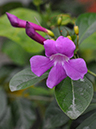 %_tempFileName05-20080127-0289%