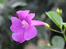 %_tempFileName06-20080216-0187%