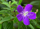 %_tempFileName01-20001028-0081%
