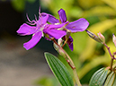 %_tempFileName05-20120819-0257%