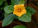 %_tempFileName02-20050326-0188%