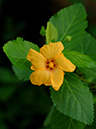 %_tempFileName04-20051009-0210%