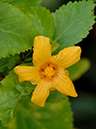 %_tempFileName05-20060218-0528%