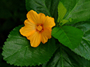 %_tempFileName07-20061029-0548%