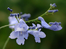 %_tempFileName01-20060316-0254%