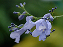 %_tempFileName02-20060316-0262%