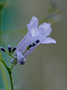%_tempFileName03-20060316-0264%