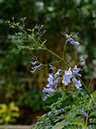 %_tempFileName04-20060316-0265%