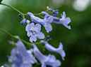 %_tempFileName06-20060319-0210%