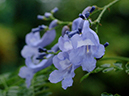 %_tempFileName07-20060319-0211%