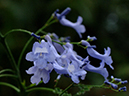 %_tempFileName08-20060319-0213%