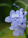 %_tempFileName09-20060319-0216%