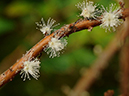 %_tempFileName02-20101219-0285%