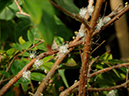%_tempFileName03-20101219-0288%