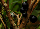 %_tempFileName07-20110409-0264%
