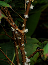 %_tempFileName09-20120304-0354%