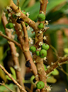 %_tempFileName10-20130127-0112%
