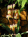 %_tempFileName01-20120219-0305%
