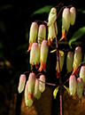%_tempFileName02-20120219-0307%