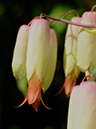 %_tempFileName03-20120219-0308%