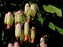%_tempFileName04-20120219-0309%