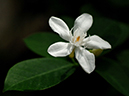 %_tempFileName03-20050910-0117%