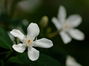%_tempFileName04-20050910-0121%