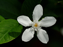 %_tempFileName05-20050910-0122%