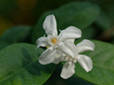 %_tempFileName08-20051113-0245%