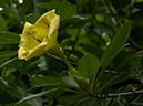 %_tempFileName02-20050402-0158%