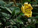 %_tempFileName05-20060218-0556%