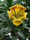 %_tempFileName08-20120129-0293%