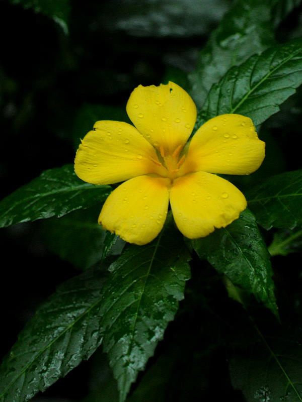 %_tempFileName03-20100923-0077%