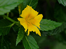 %_tempFileName01-20100704-0196%