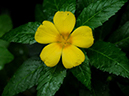 %_tempFileName02-20100923-0076%