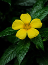 %_tempFileName03-20100923-0077%