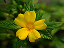%_tempFileName04-20100923-0082%