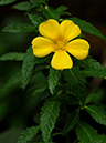 %_tempFileName06-20110205-0125%