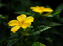 %_tempFileName07-20110219-0175%