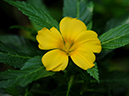 %_tempFileName08-20110227-0167%