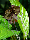 %_tempFileName02-20050820-0261%